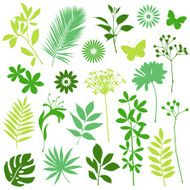 Flower and Leaf Elements