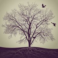 Winter Tree N24