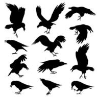 Crows silhouettes N2
