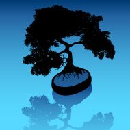 Blue Bonsai