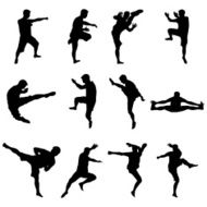 Martial Arts and Sport Black Silhouettes