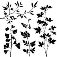 Branches N6