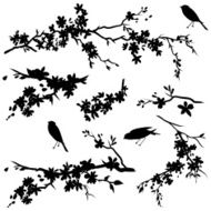 Cherry Blossom Branches in Bloom &amp; Birds Black Silhouette