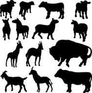 Dairy animal silhouette collection