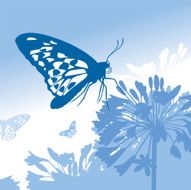 Butterfly in Blue