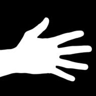 Vector silhouette of a hand N23