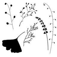 Branches N7