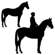 standing horse