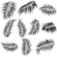Palm Leaves Elements