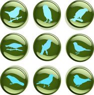 Bird Badges