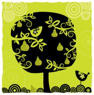 Birds and Fruits (Series) N3