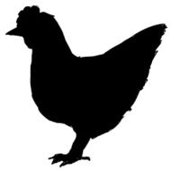 side view of hen