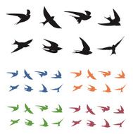 Swallows in Flight