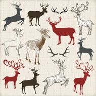 Deers N6