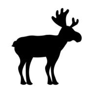 animal design N34