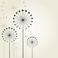 Dandelion N26