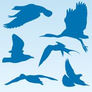 Silhouetted Birds in Flight