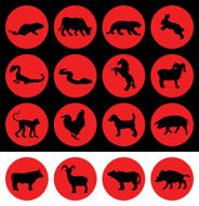 Chinese new year signs of the zodiac