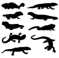 Lizard and newt silhouettes