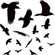 Bird Silhouettes N7