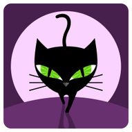 Black Cat N35