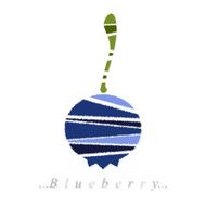 Vector of fruit blueberry icon N2