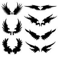wild wings