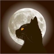 Halloween Black Cat N10