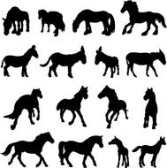 Horse donkey and pony silhouettes