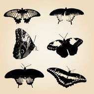six types of black vector butterfly eps10
