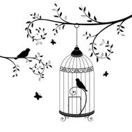 Birds in the cage