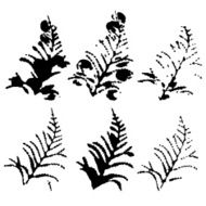 Set of plant and foliage elements silhouette vector illustration