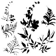 Set of plant and foliage elements silhouette vector illustration N2