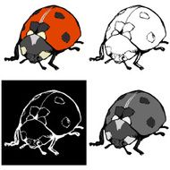 Ladybird N5