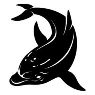 Dolphin black and white