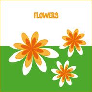 Flowers design N278