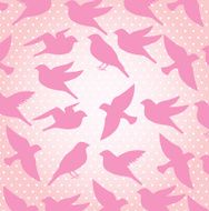 Birds pattern N25