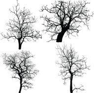 Dead Tree without Leaves Vector Illustration Sketched N8