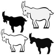 Goat N42