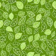 Leafs pattern N3