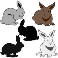 Rabbit N55