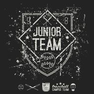 Emblem baseball junior college team N2