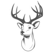 Deer head isolated on white background
