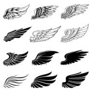 Wings collection