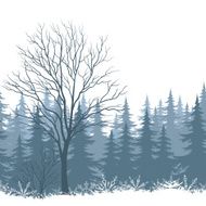 Winter landscape with trees and snow