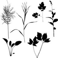 grass silhouettes N6