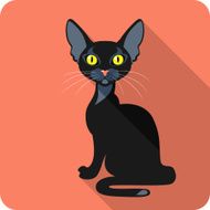 Bombay Black Cat icon flat design N2