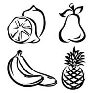 Fruit N13