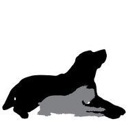 Vector silhouette of a dog N171