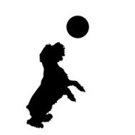 Vector silhouette of a dog N173